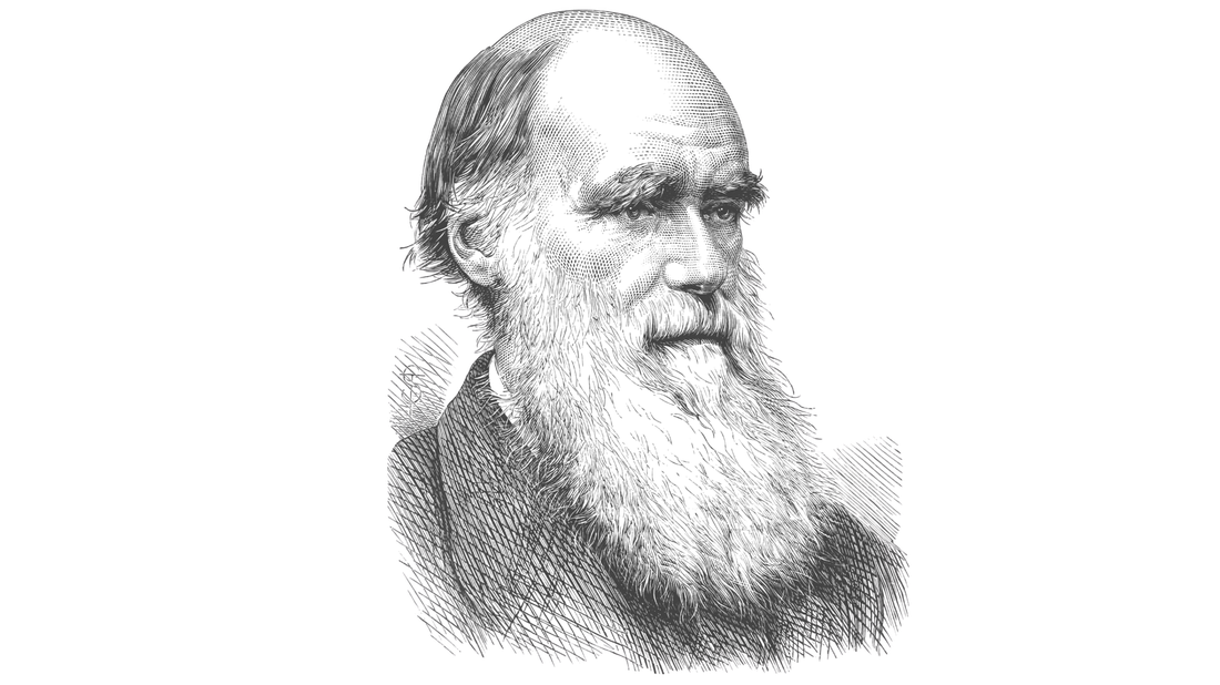 Portrait sketch of Charles Darwin