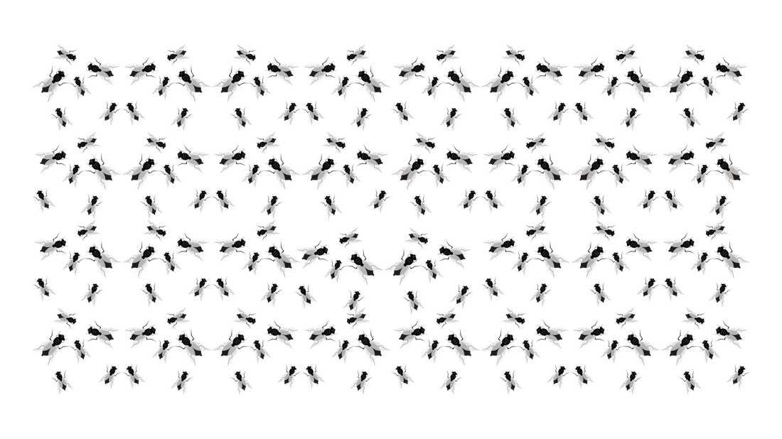 A large grid of flies representing many offspring