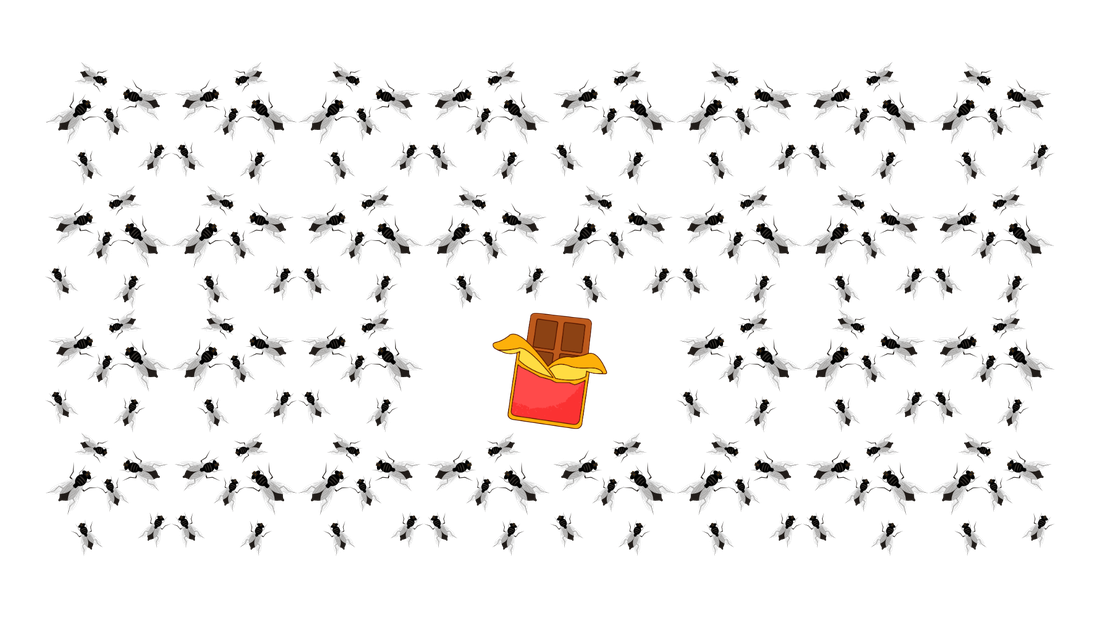 A crowd of flies gathered around a single piece of food