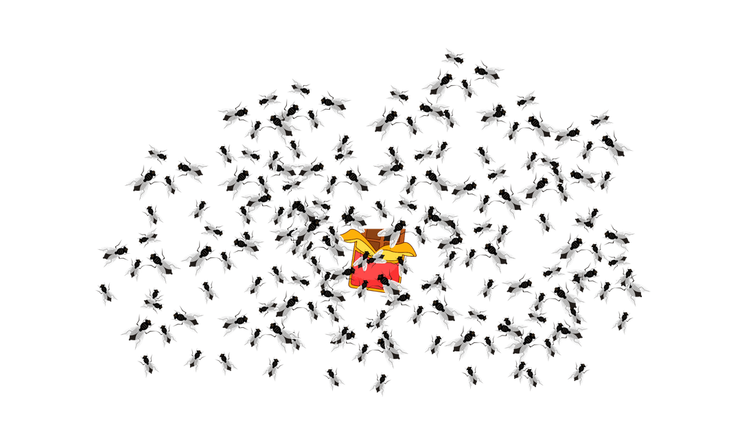 A swarm of flies converging on a limited resource