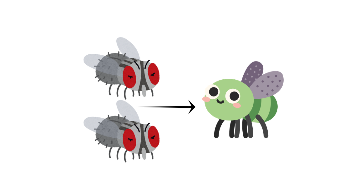 Two parent flies with an arrow pointing to an offspring